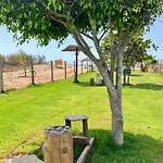 Oasi D'argilla *